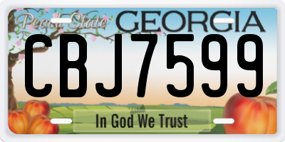 GA license plate CBJ7599