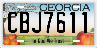 GA license plate CBJ7611