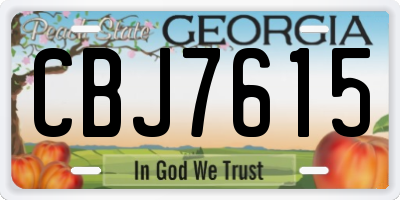 GA license plate CBJ7615