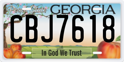 GA license plate CBJ7618