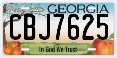 GA license plate CBJ7625
