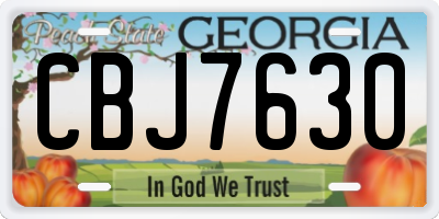 GA license plate CBJ7630