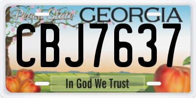 GA license plate CBJ7637