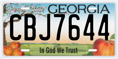 GA license plate CBJ7644