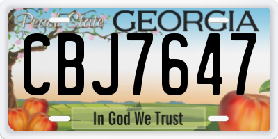 GA license plate CBJ7647