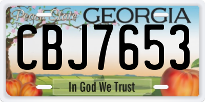GA license plate CBJ7653