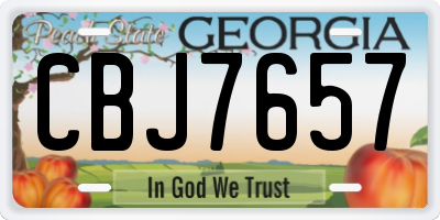 GA license plate CBJ7657
