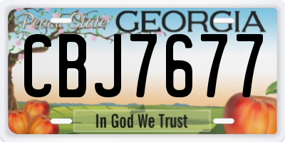 GA license plate CBJ7677