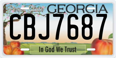 GA license plate CBJ7687