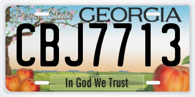 GA license plate CBJ7713