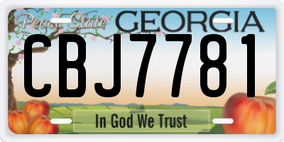 GA license plate CBJ7781