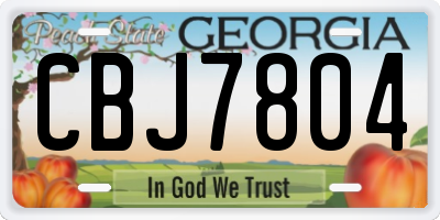 GA license plate CBJ7804