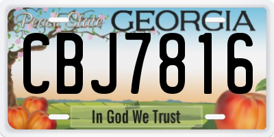 GA license plate CBJ7816