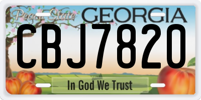 GA license plate CBJ7820