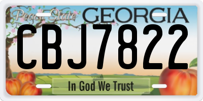 GA license plate CBJ7822