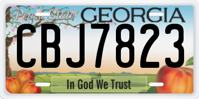 GA license plate CBJ7823