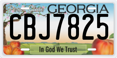 GA license plate CBJ7825