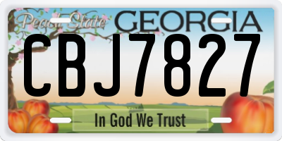 GA license plate CBJ7827
