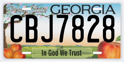 GA license plate CBJ7828