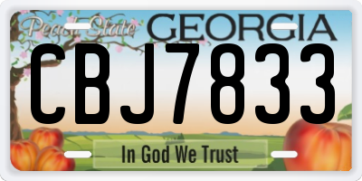 GA license plate CBJ7833