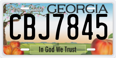 GA license plate CBJ7845