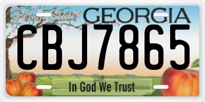GA license plate CBJ7865