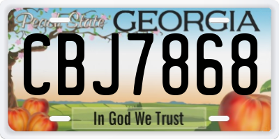 GA license plate CBJ7868