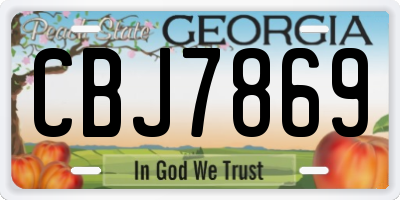 GA license plate CBJ7869