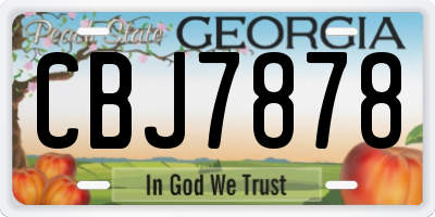 GA license plate CBJ7878