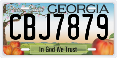GA license plate CBJ7879
