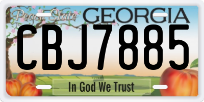 GA license plate CBJ7885