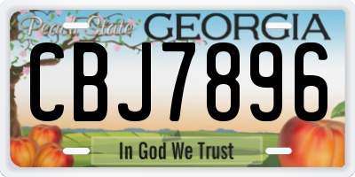 GA license plate CBJ7896