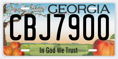 GA license plate CBJ7900
