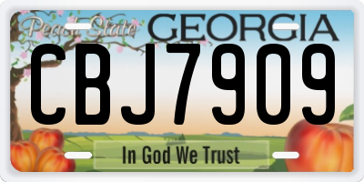 GA license plate CBJ7909