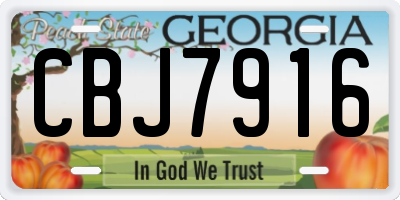 GA license plate CBJ7916