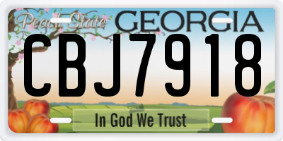 GA license plate CBJ7918