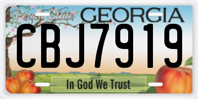 GA license plate CBJ7919