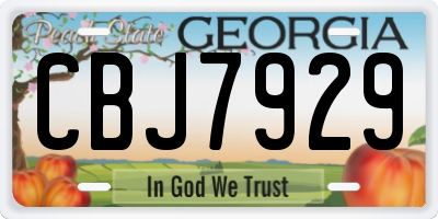 GA license plate CBJ7929