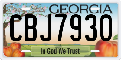 GA license plate CBJ7930