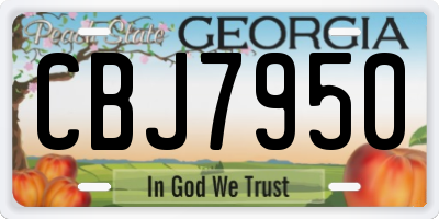 GA license plate CBJ7950