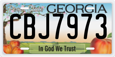 GA license plate CBJ7973