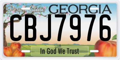 GA license plate CBJ7976
