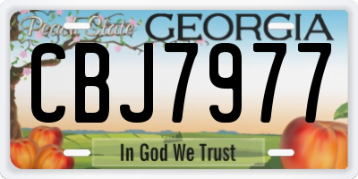 GA license plate CBJ7977