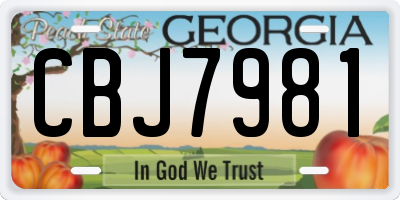 GA license plate CBJ7981