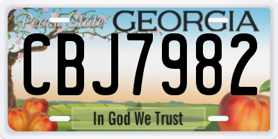 GA license plate CBJ7982
