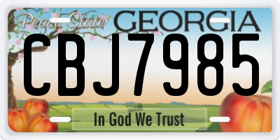 GA license plate CBJ7985