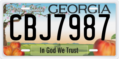 GA license plate CBJ7987