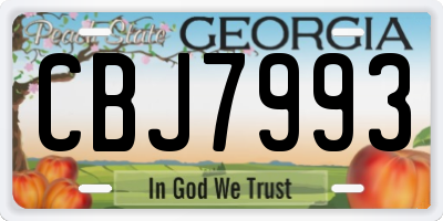 GA license plate CBJ7993
