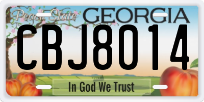 GA license plate CBJ8014