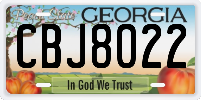 GA license plate CBJ8022